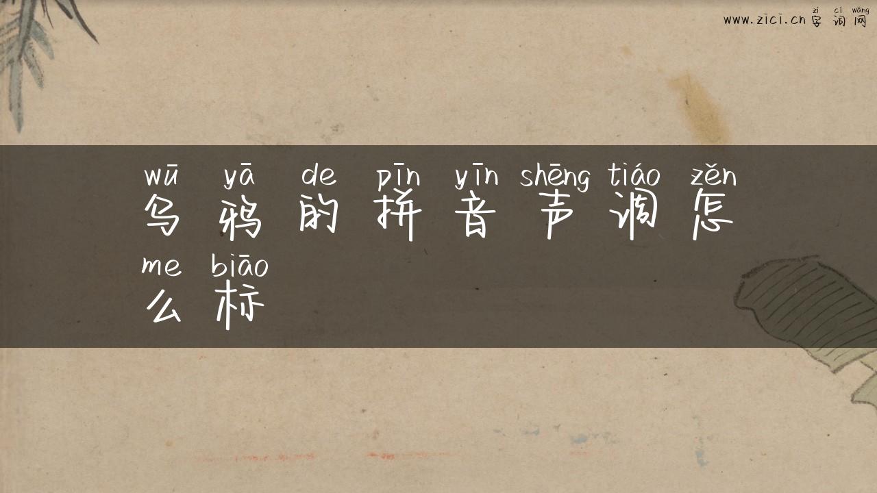 乌鸦的拼音声调怎么标