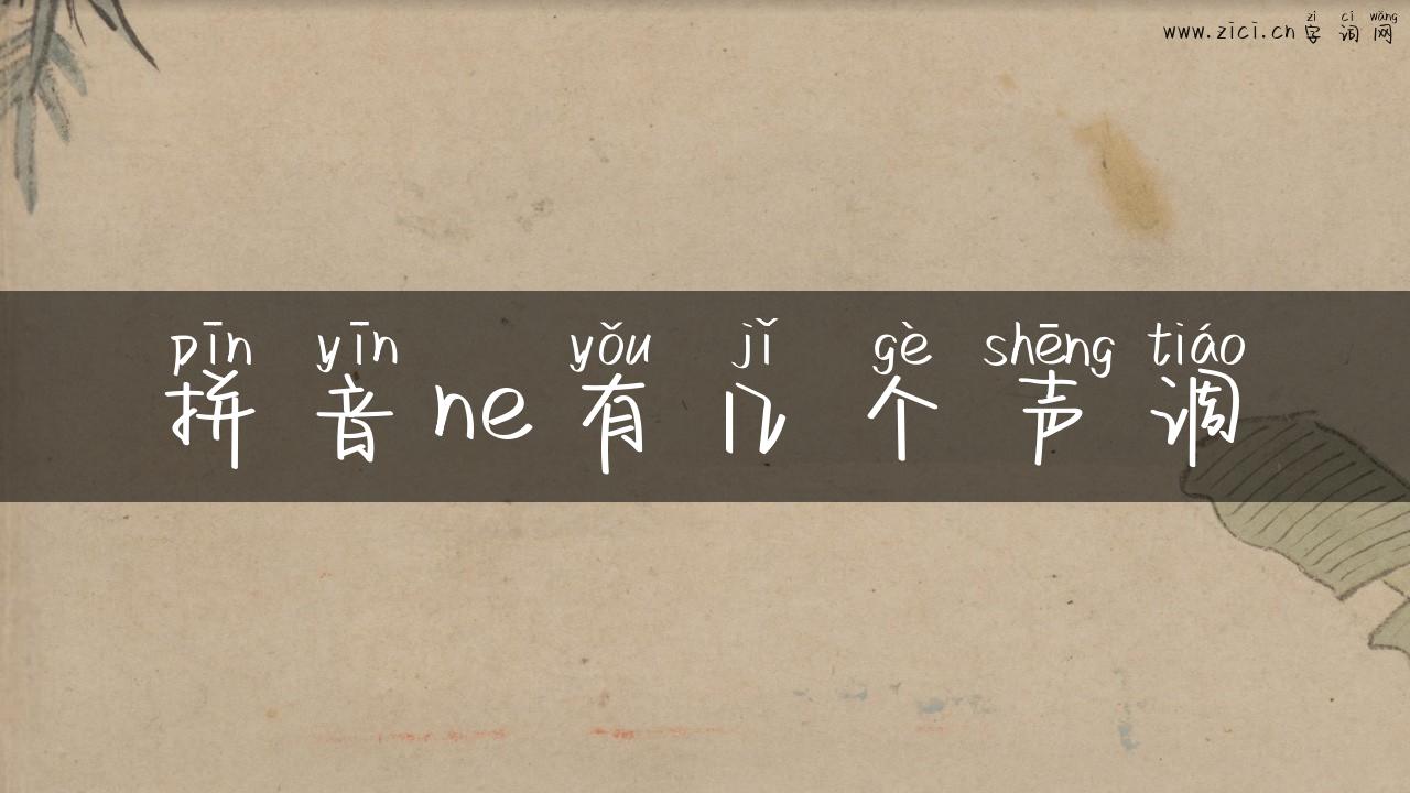 拼音ne有几个声调
