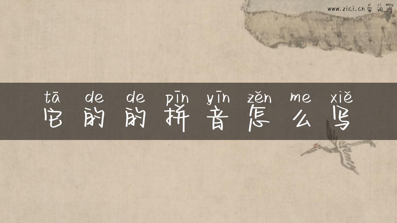它的的拼音怎么写