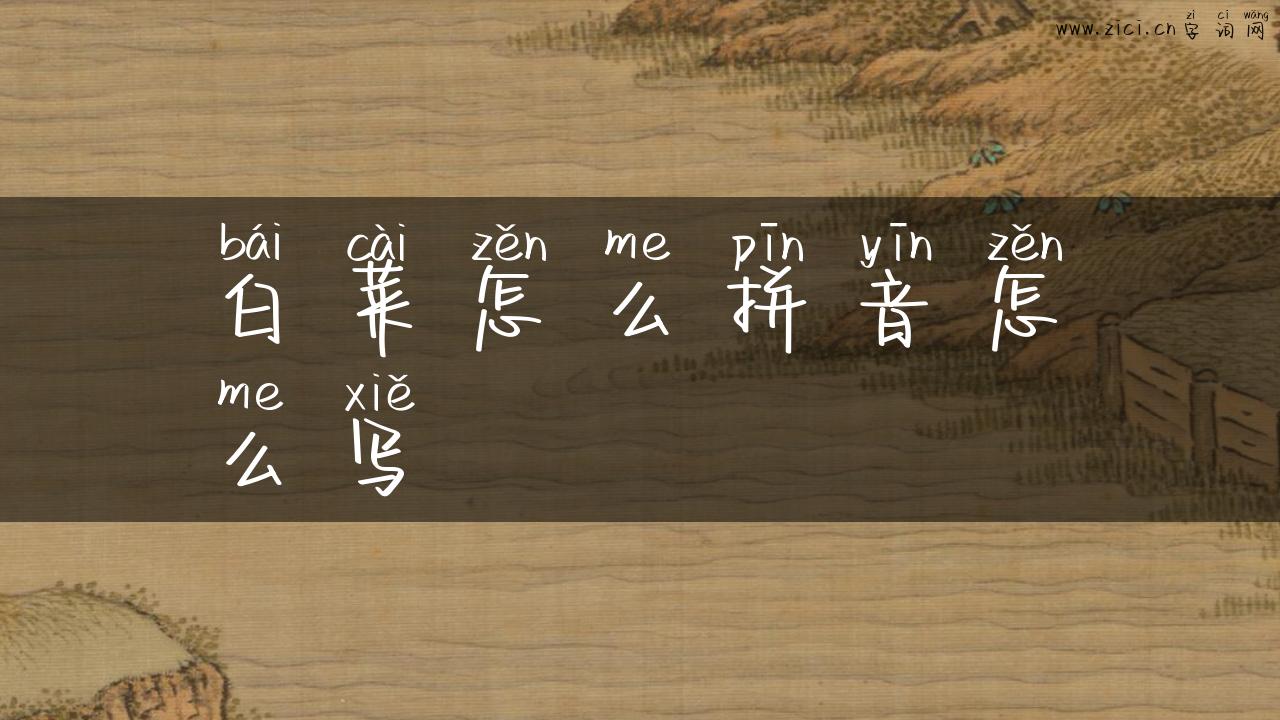 白菜怎么拼音怎么写