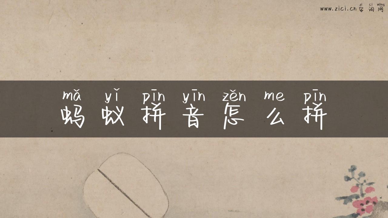 蚂蚁拼音怎么拼