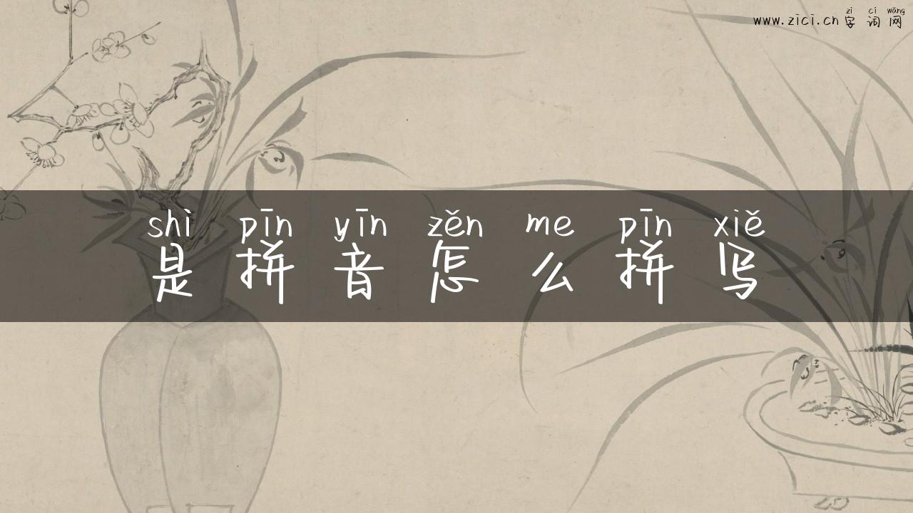 是拼音怎么拼写