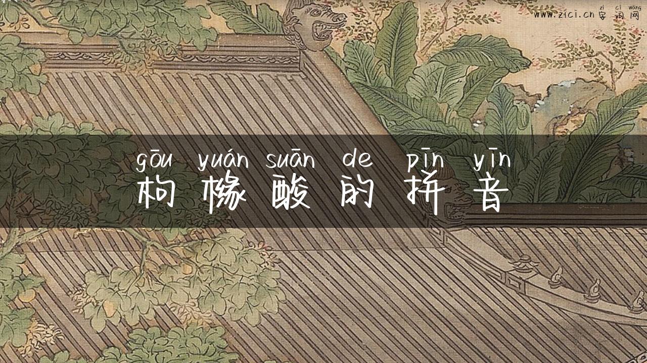 枸橼酸的拼音