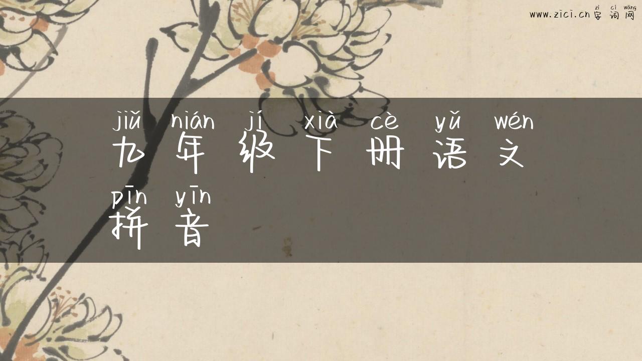九年级下册语文拼音