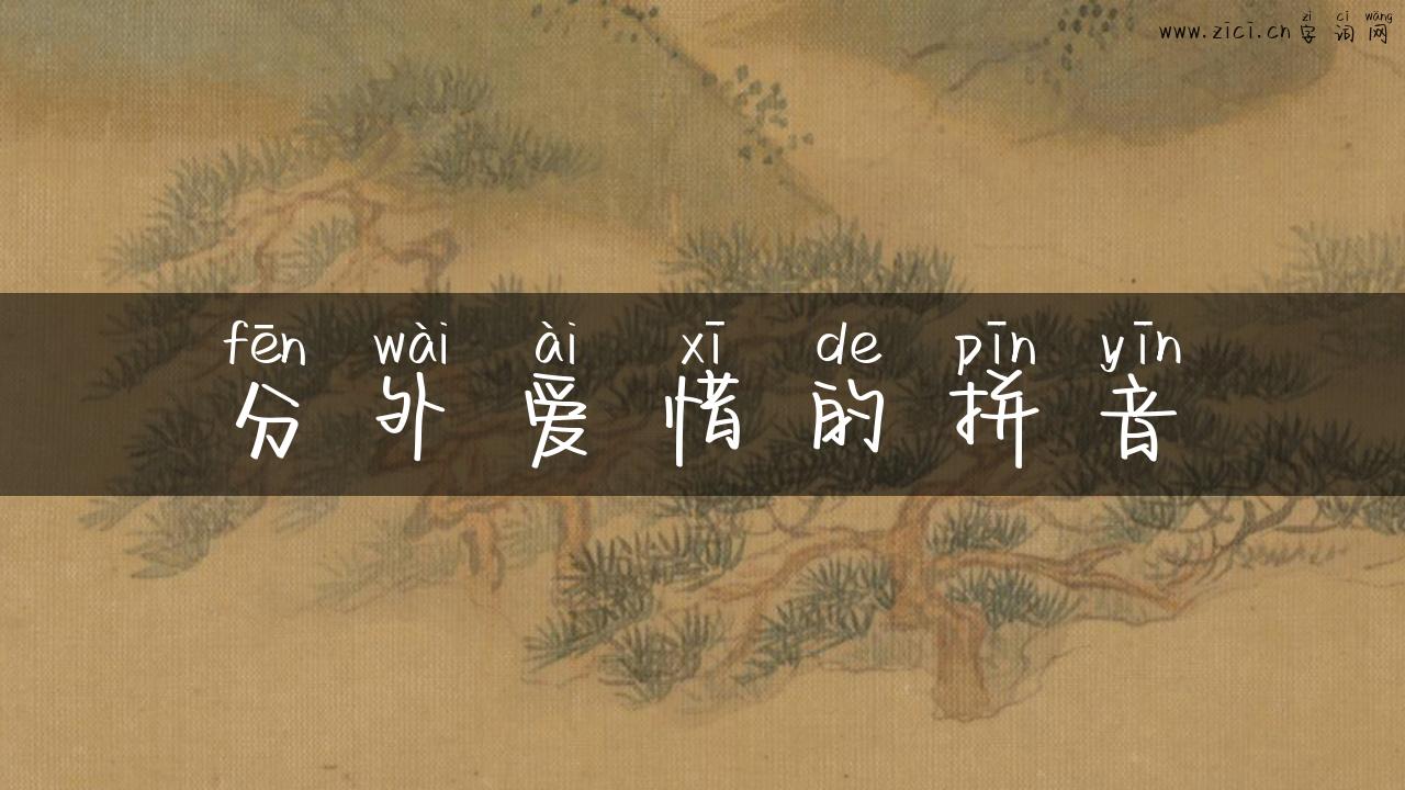 分外爱惜的拼音