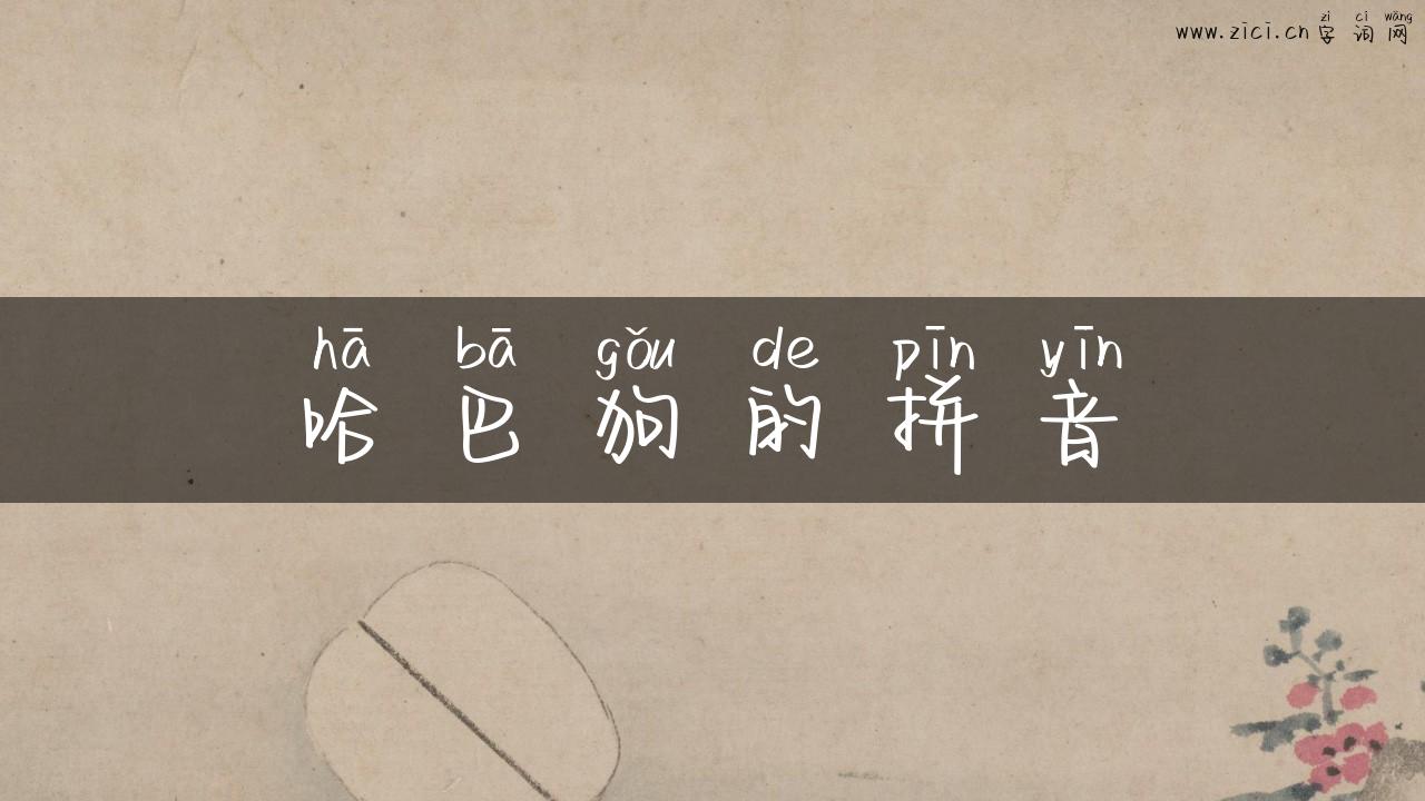 哈巴狗的拼音