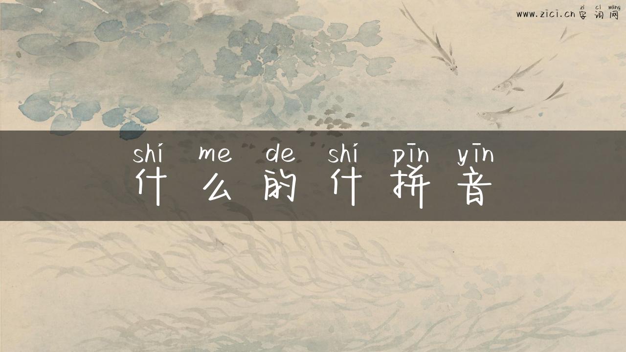 什么的什拼音