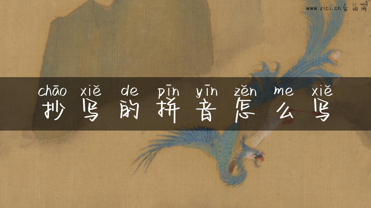 抄写的拼音怎么写