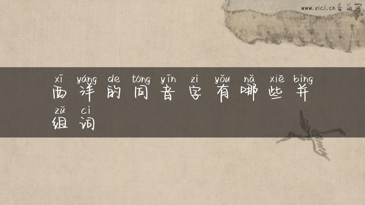 西洋的同音字有哪些并组词