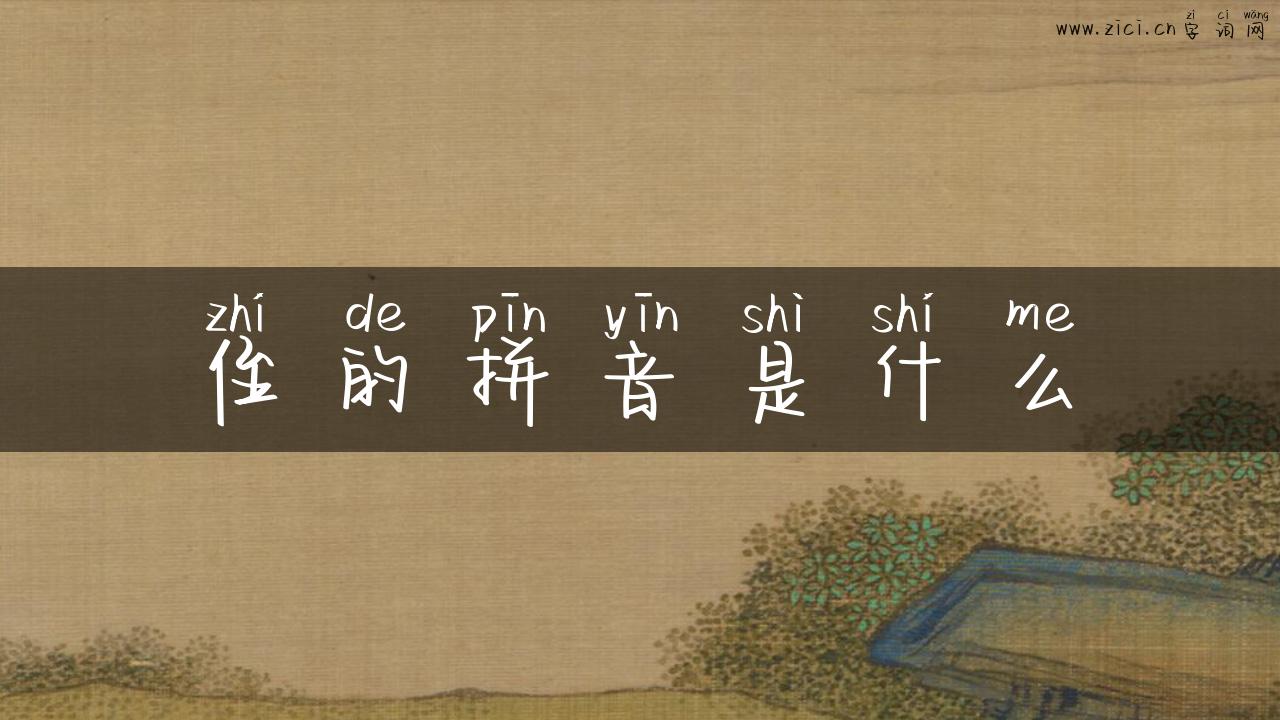 侄的拼音是什么