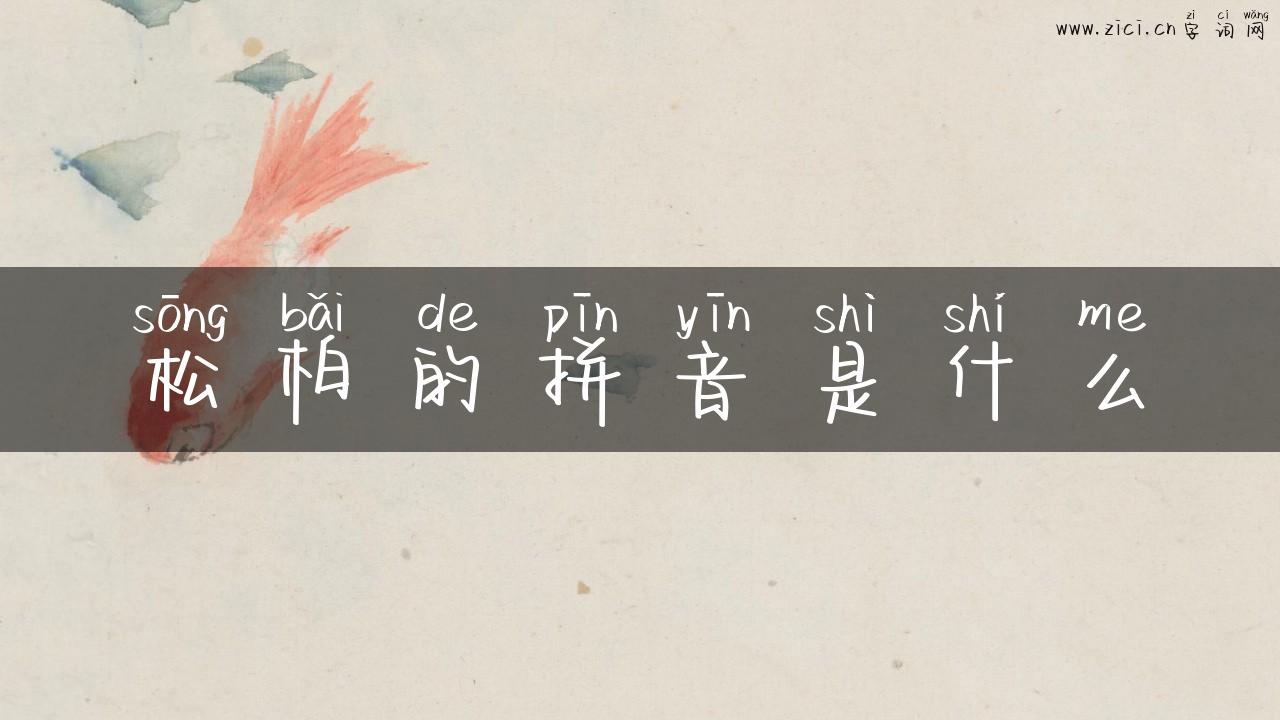 松柏的拼音是什么