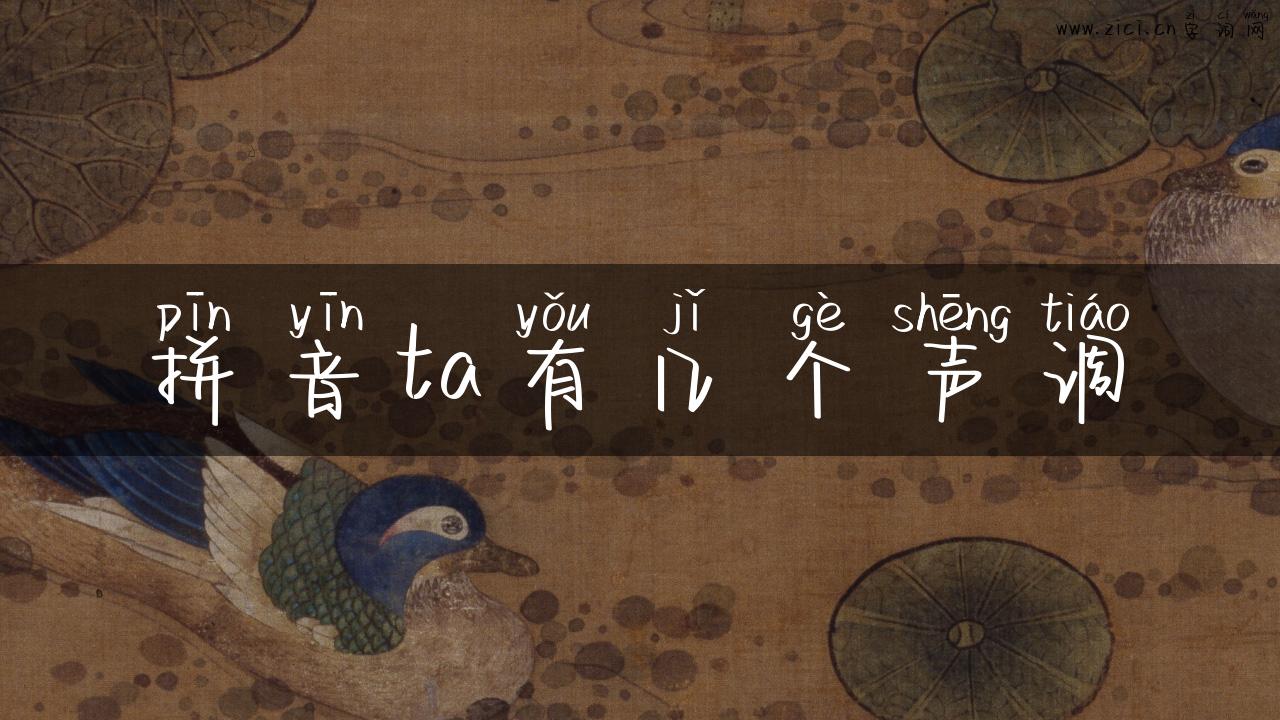 拼音ta有几个声调