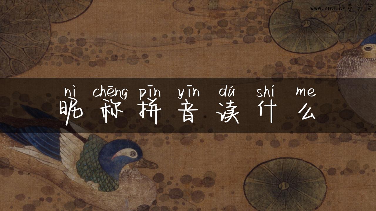 昵称拼音读什么