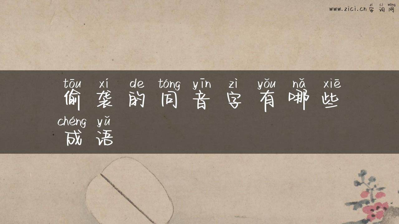 偷袭的同音字有哪些成语