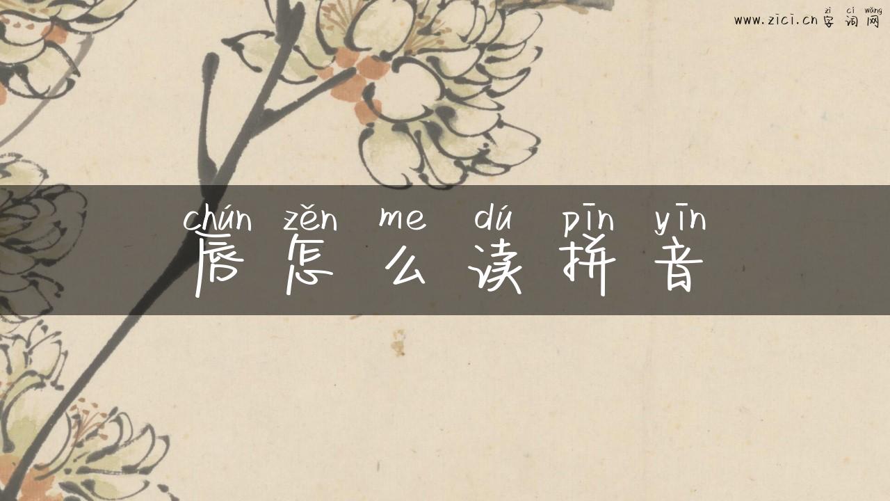 唇怎么读拼音