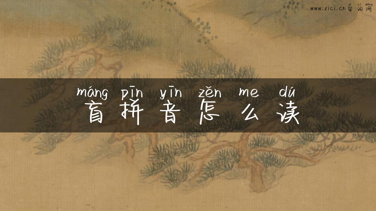 盲拼音怎么读