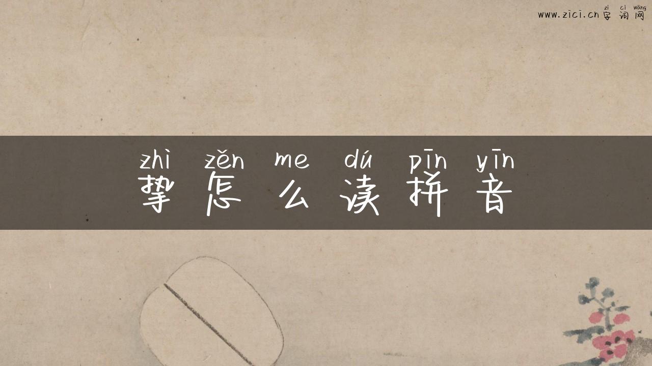 挚怎么读拼音