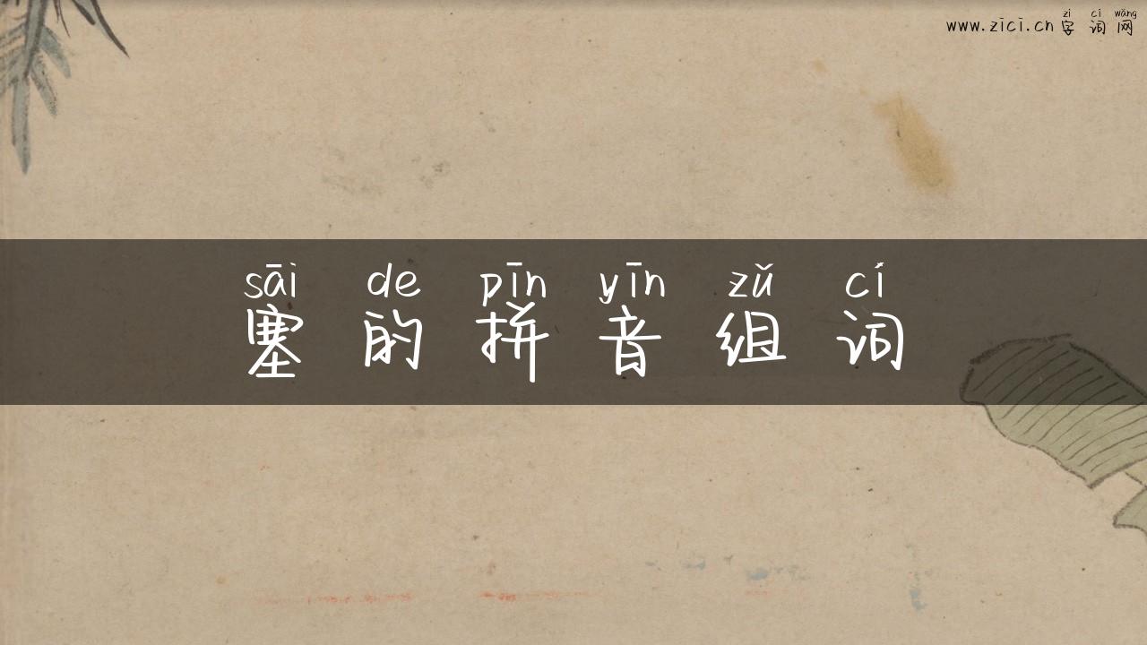 塞的拼音组词