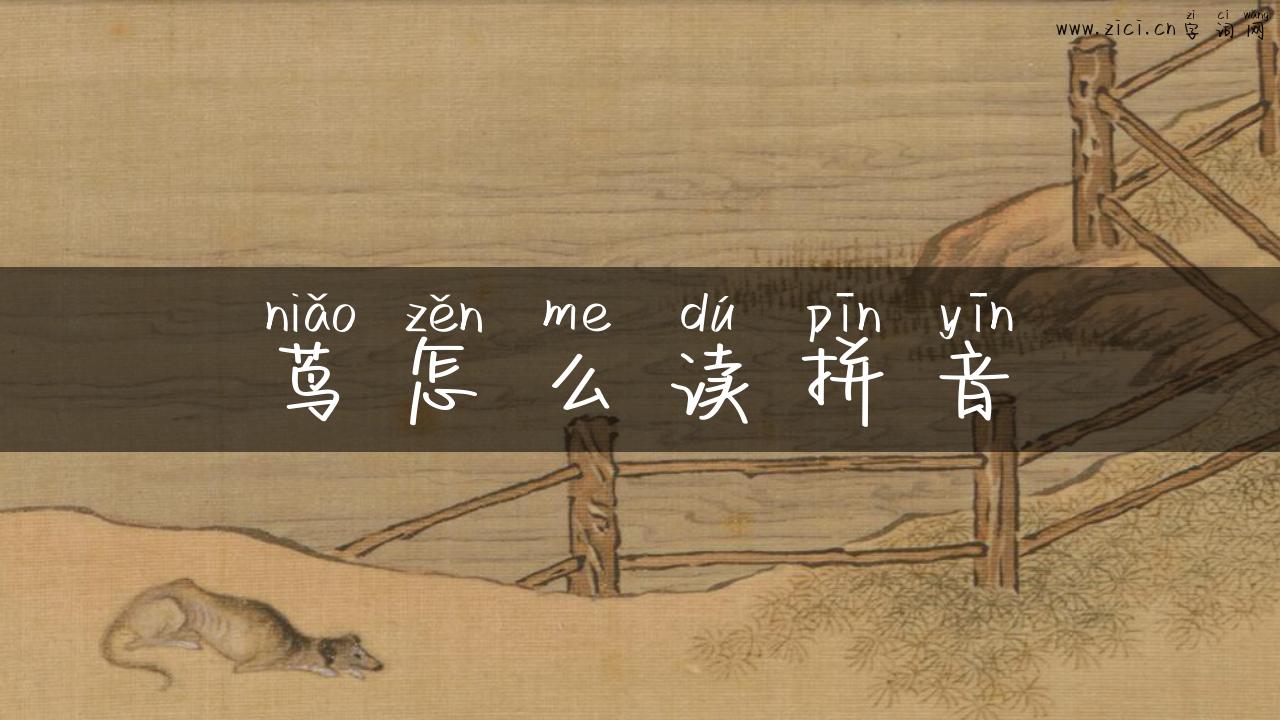 茑怎么读拼音