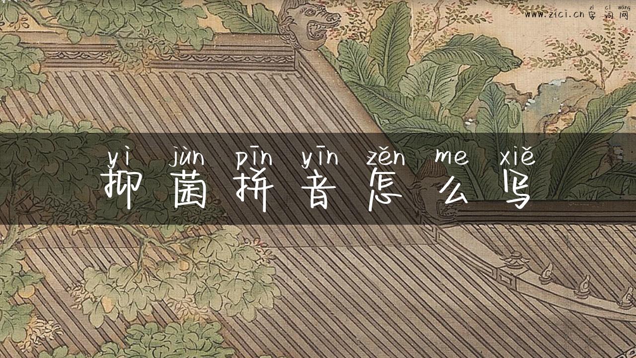 抑菌拼音怎么写