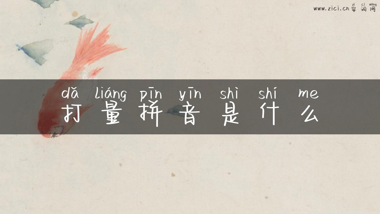 打量拼音是什么