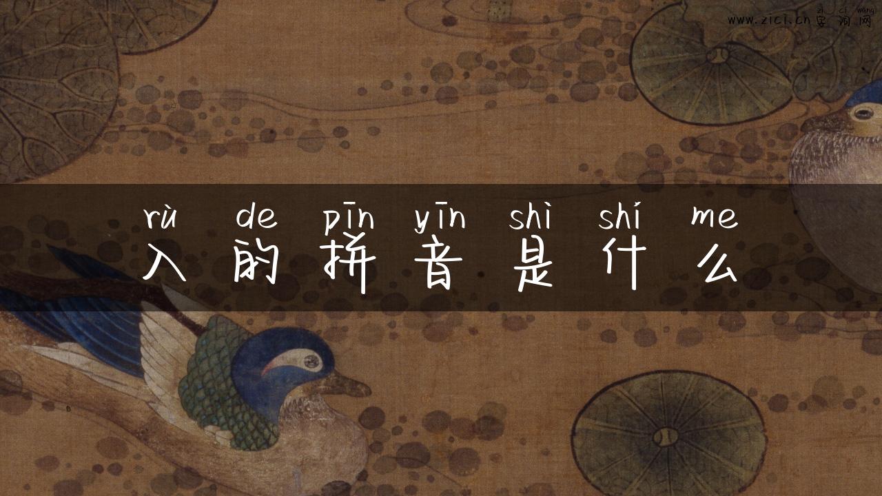 入的拼音是什么