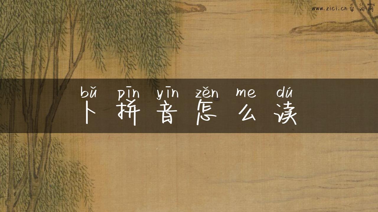 卜拼音怎么读