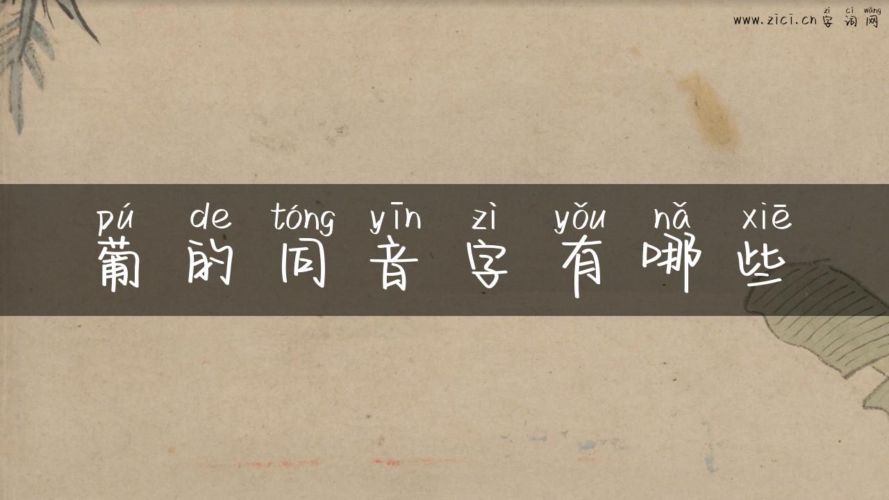 葡的同音字有哪些