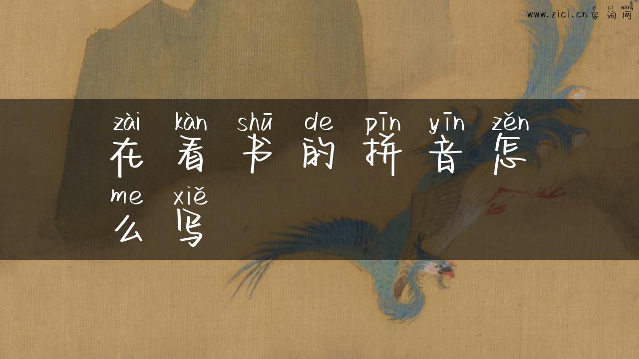 在看书的拼音怎么写