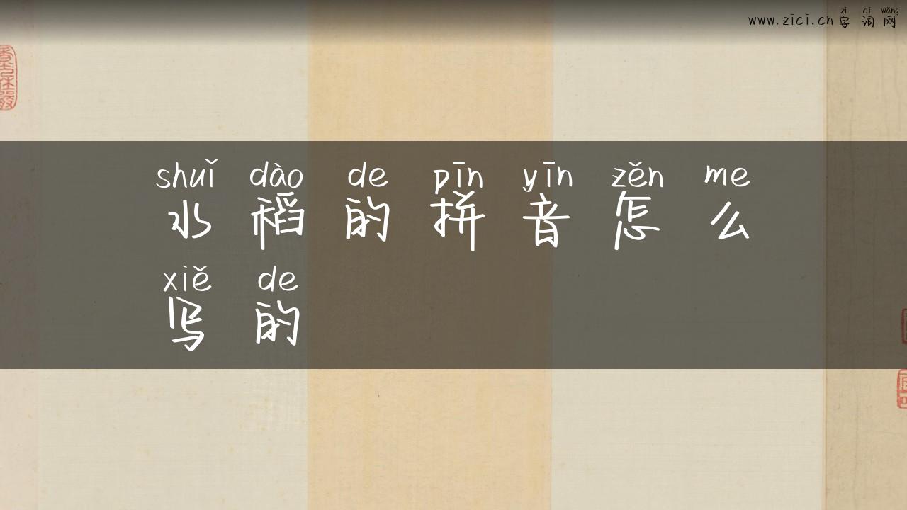 水稻的拼音怎么写的
