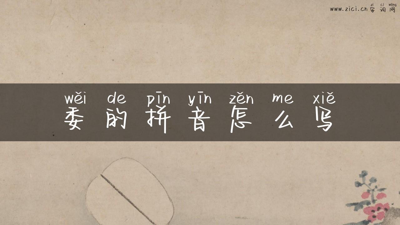委的拼音怎么写