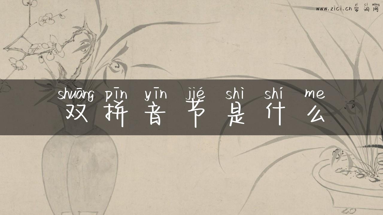 双拼音节是什么