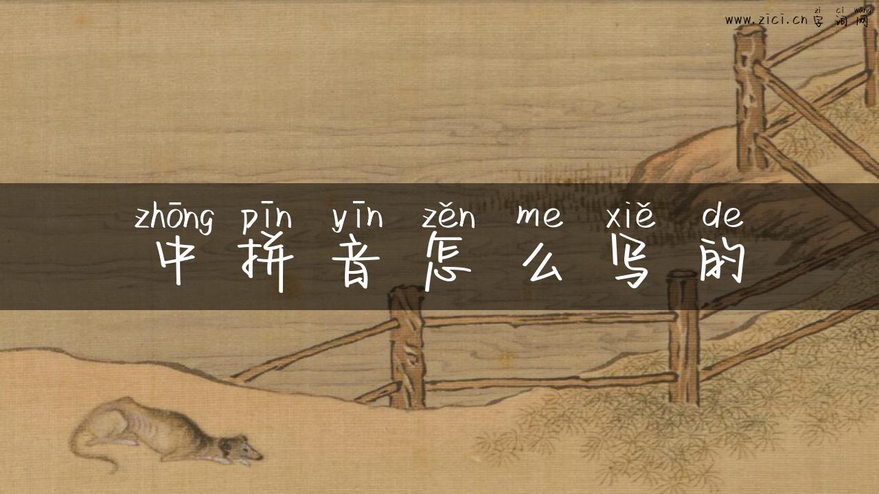 中拼音怎么写的