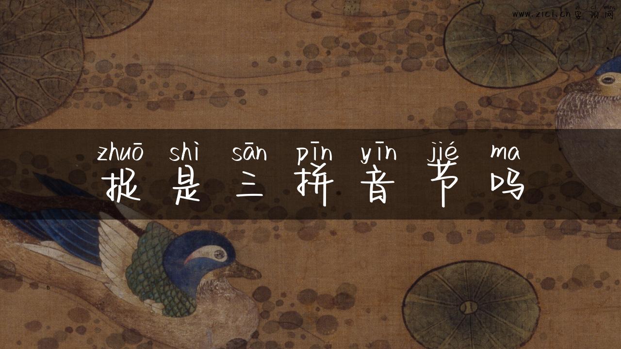 捉是三拼音节吗