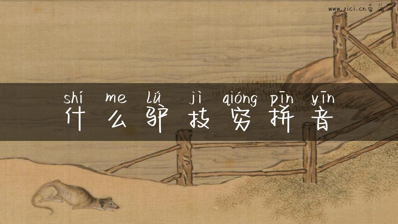 什么驴技穷拼音