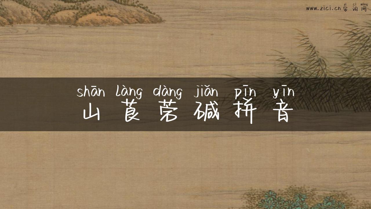 山莨菪碱拼音
