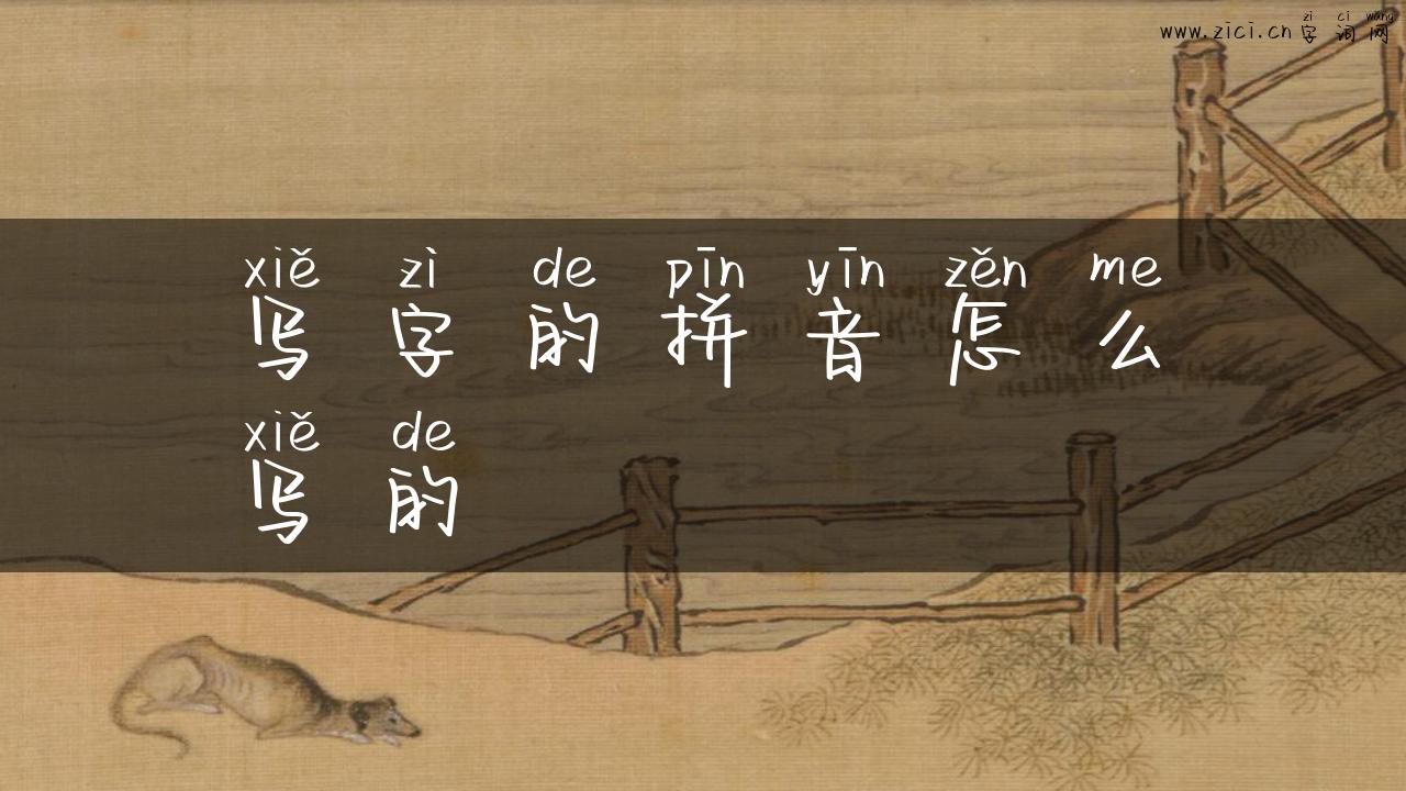 写字的拼音怎么写的