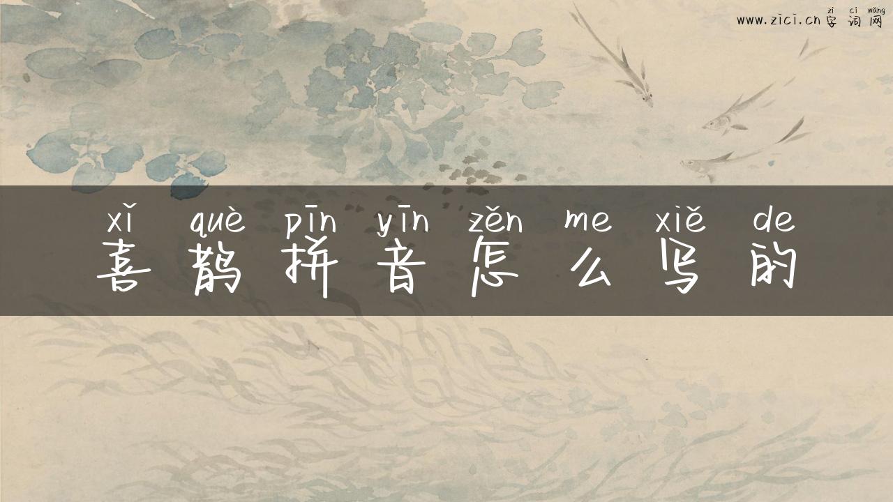 喜鹊拼音怎么写的