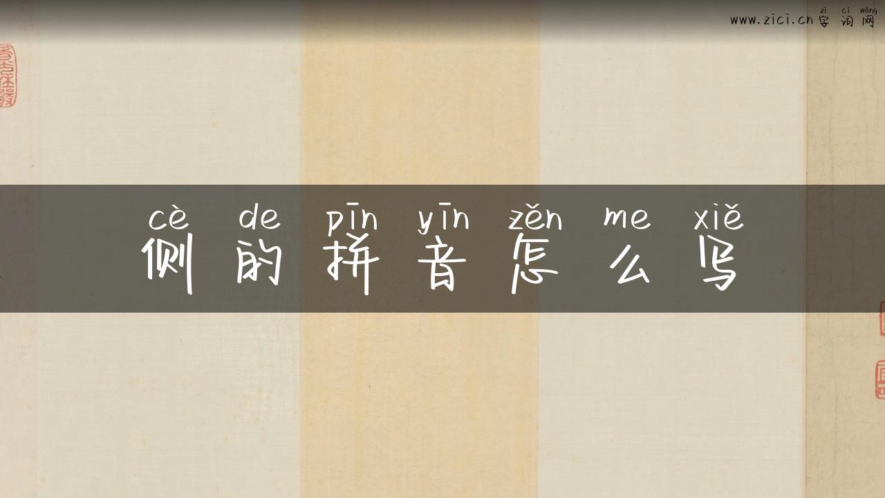 侧的拼音怎么写