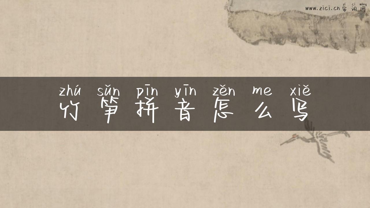 竹笋拼音怎么写