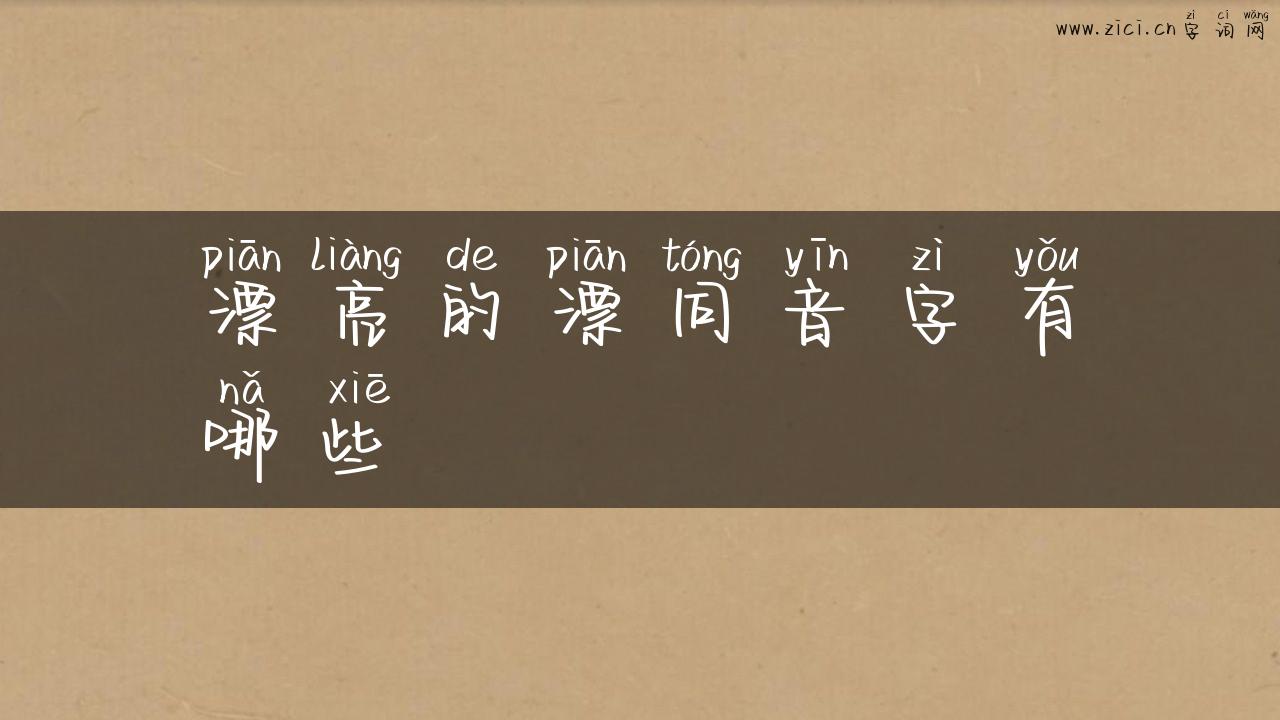 漂亮的漂同音字有哪些
