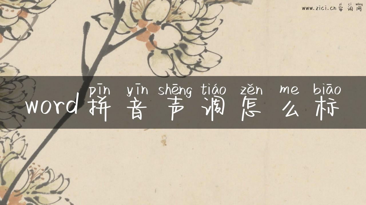 word拼音声调怎么标