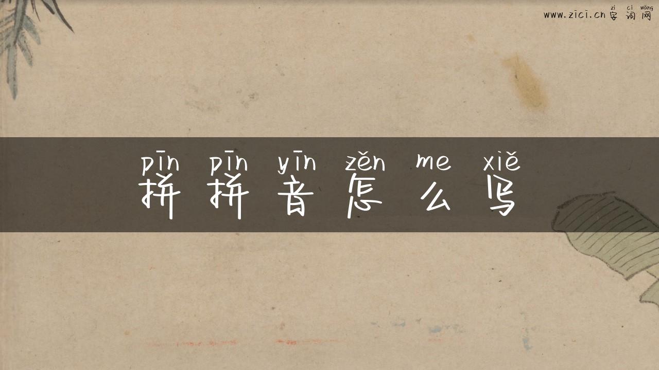 拼拼音怎么写