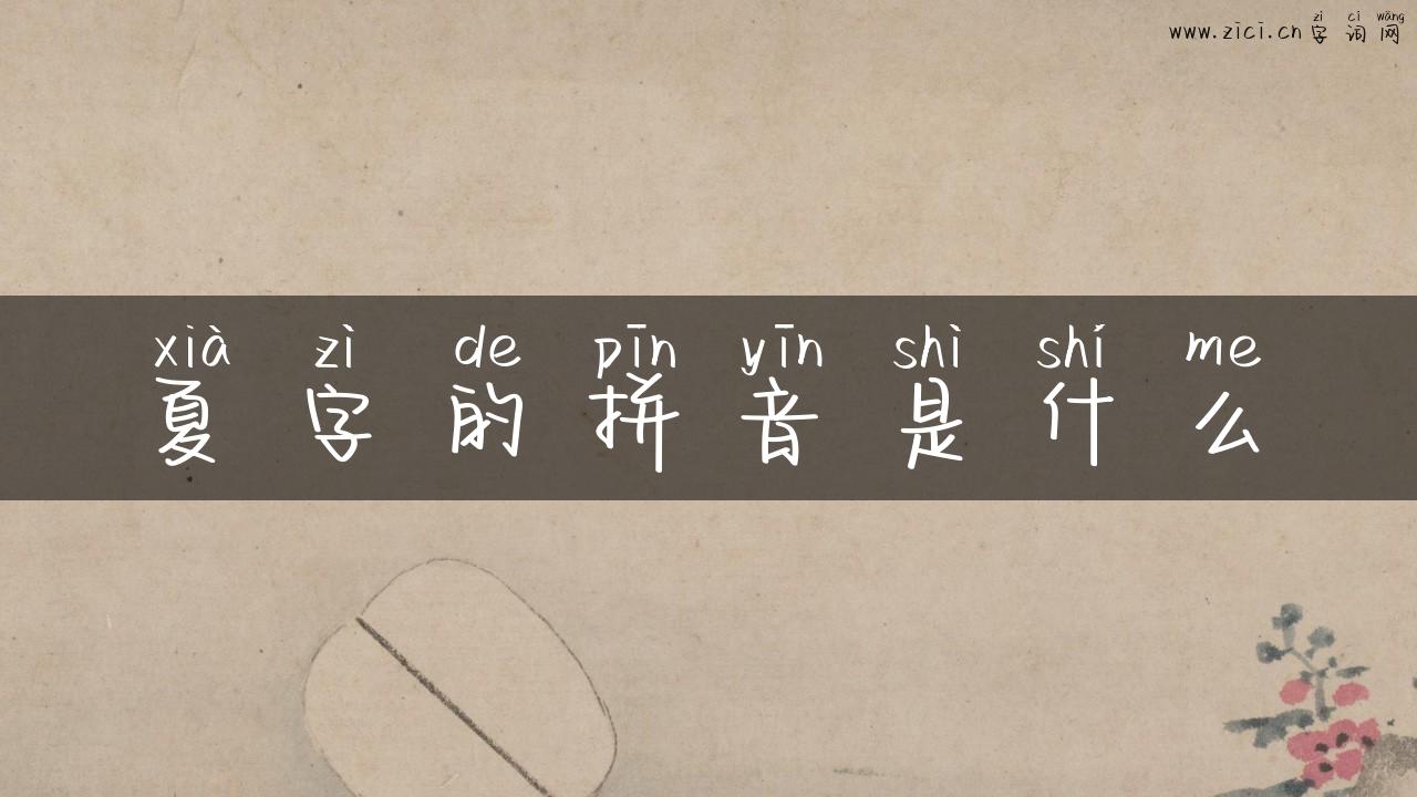 夏字的拼音是什么