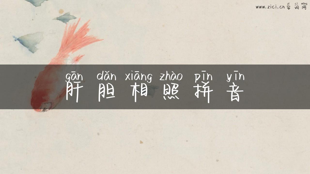 肝胆相照拼音