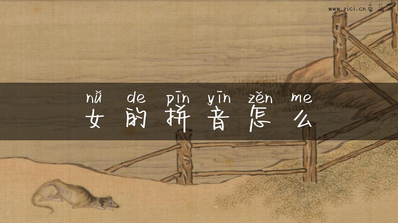 女的拼音怎么