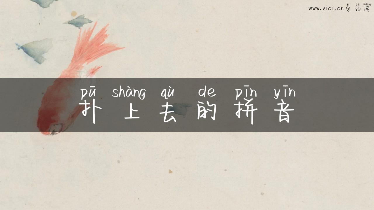 扑上去的拼音