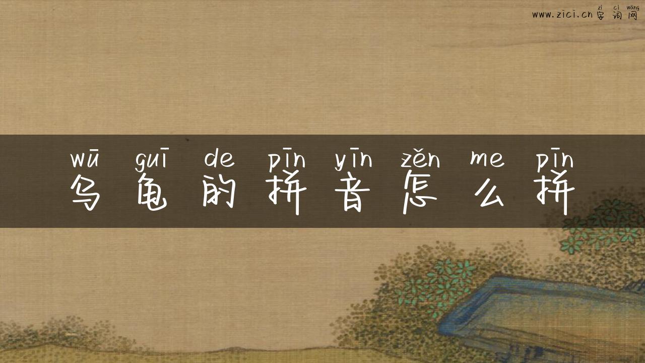 乌龟的拼音怎么拼