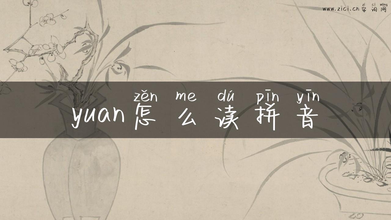 yuan怎么读拼音