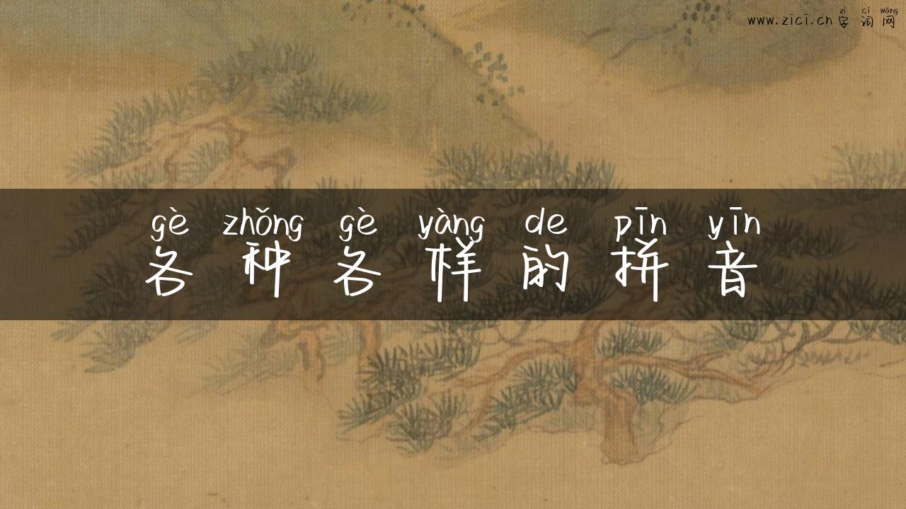 各种各样的拼音